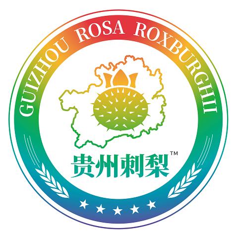 贵州刺梨研究成果探索中心