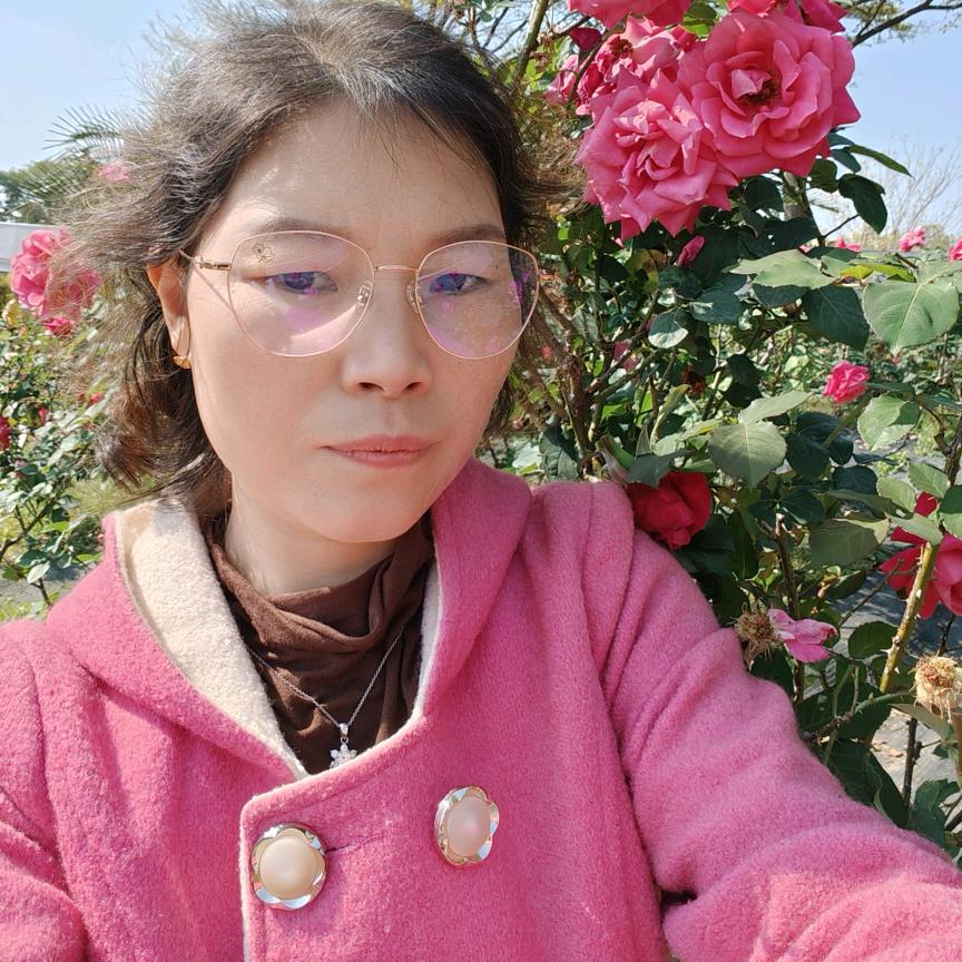 梅花姐