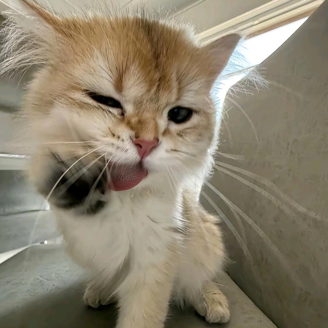 uuuu.
