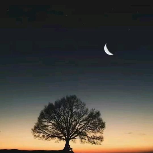 晓晓。一人行