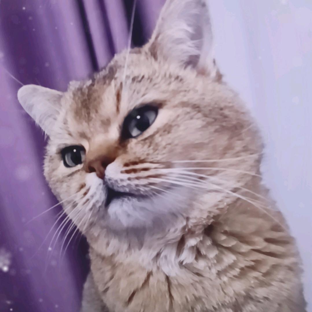 辛福每一天