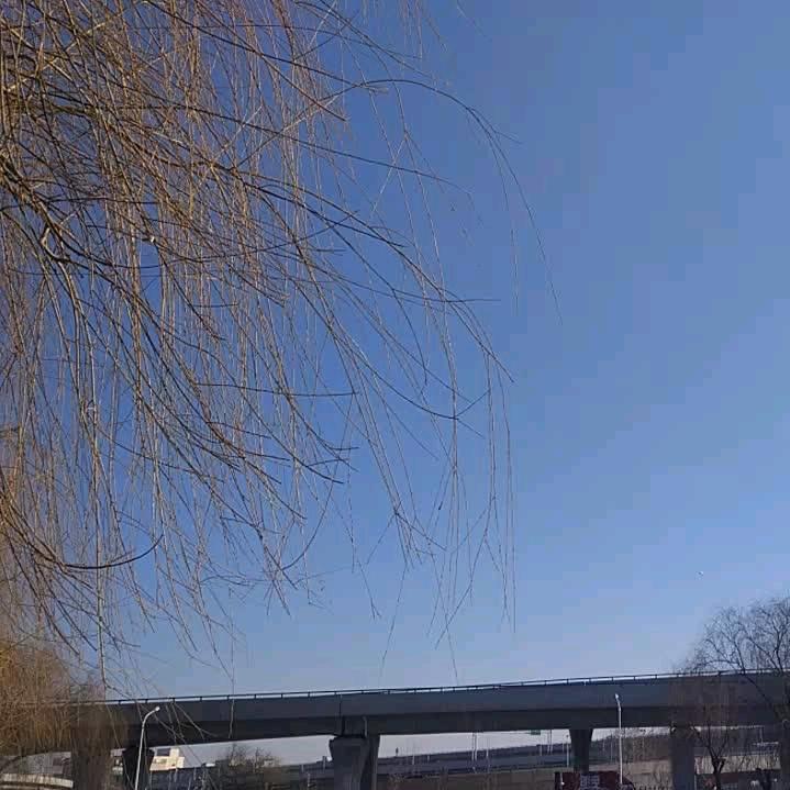 探秘世界
