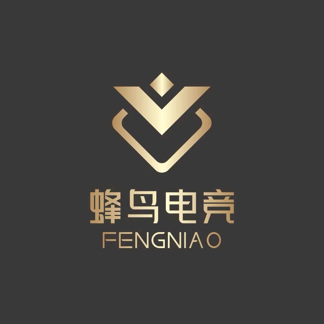 魏县蜂鸟电竞网络