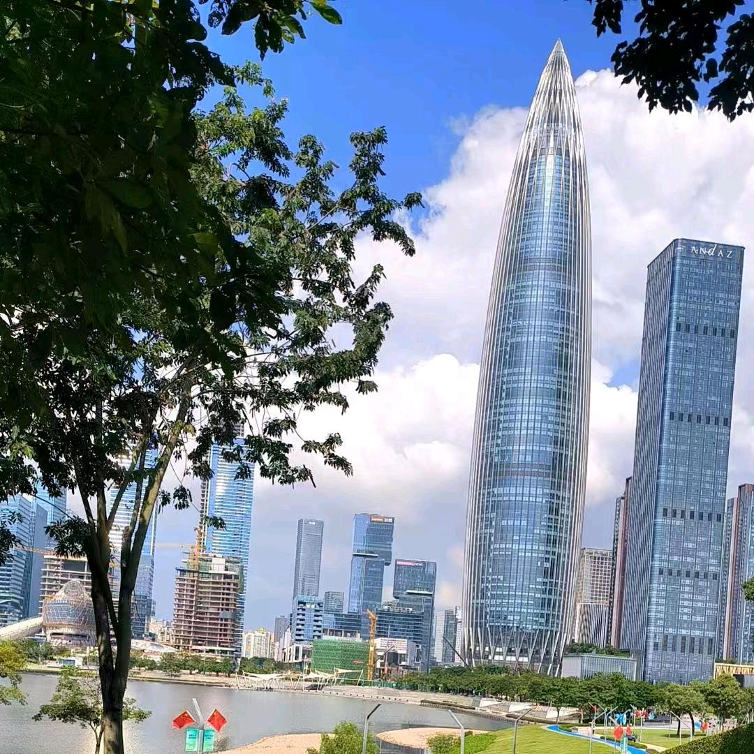 任我飞翔🦅