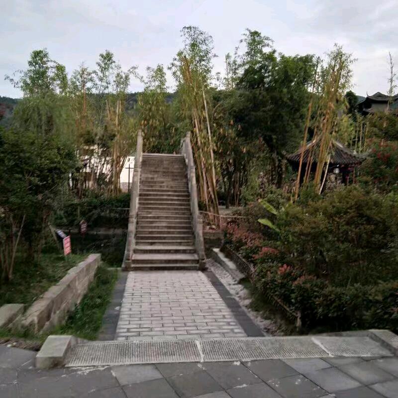 水中鱼儿