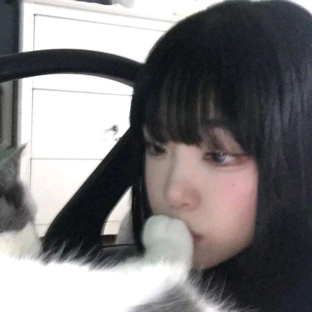 坏小猫^⌯𖥦⌯^ ੭