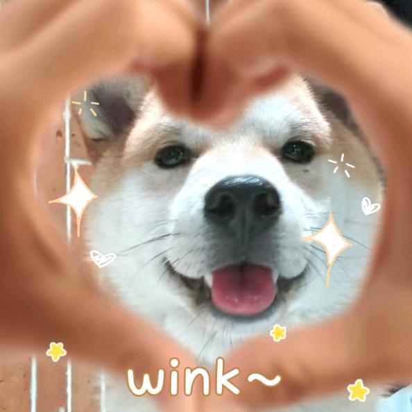 吃吃吃