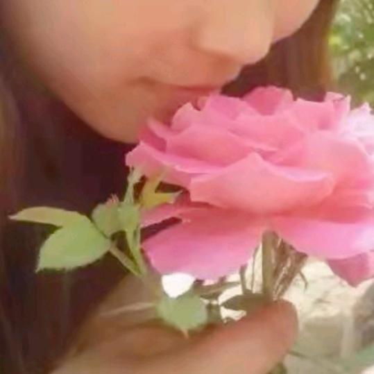 小平ya🌸🌸🌸（橱窗已开）