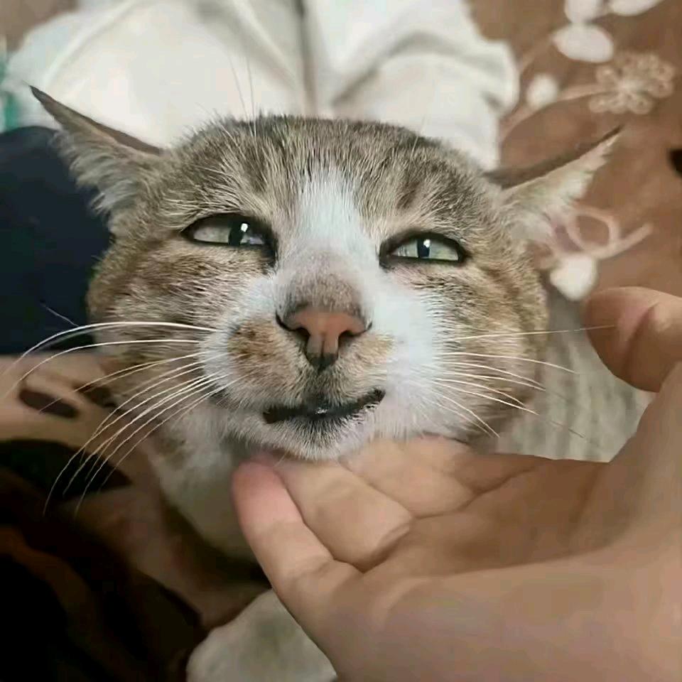 ⺁