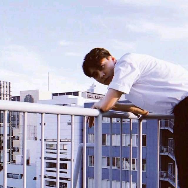 杨叶