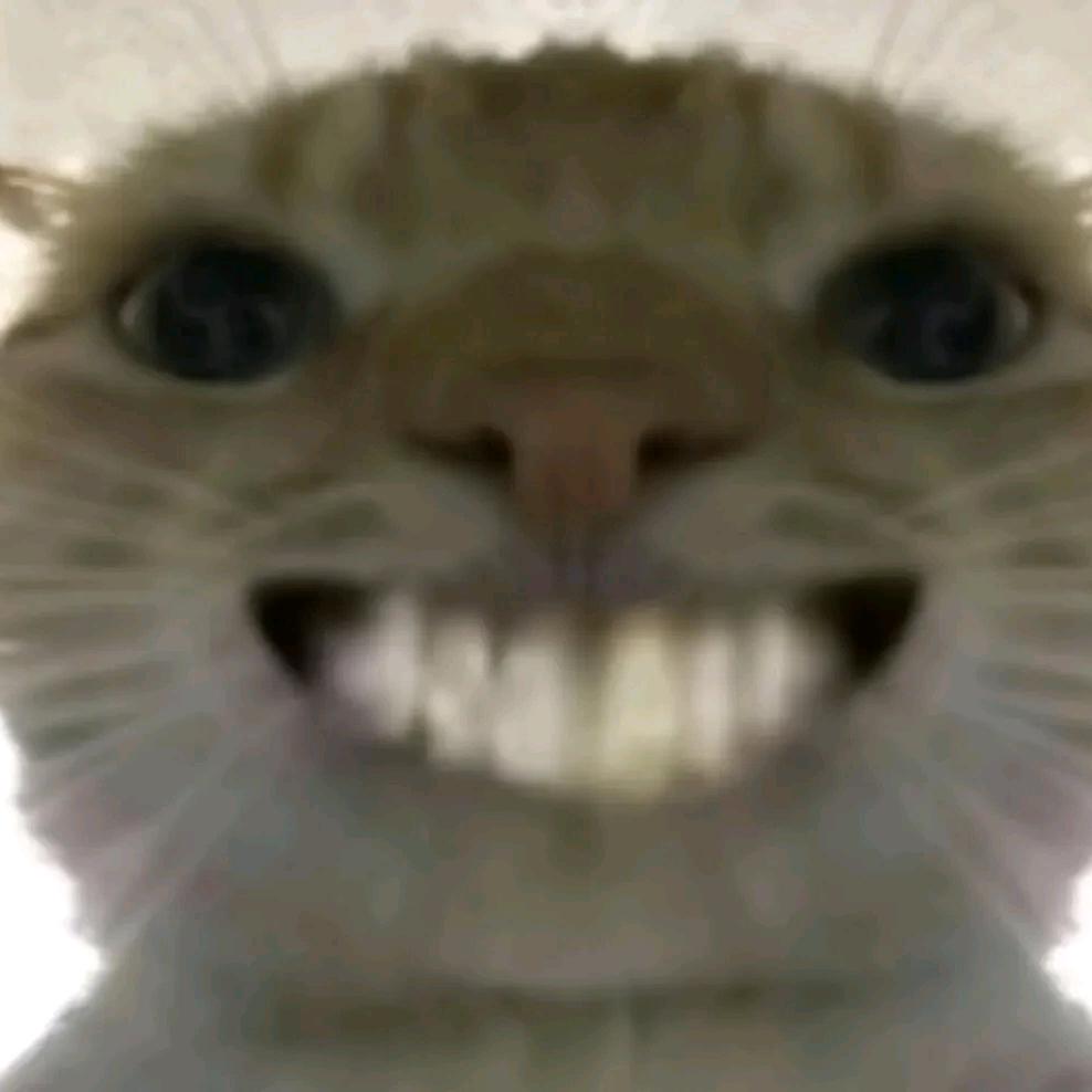 擒贼先擒王先生🇨🇳