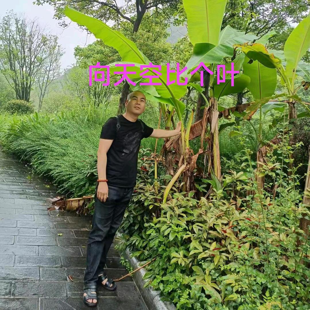 快乐勇士