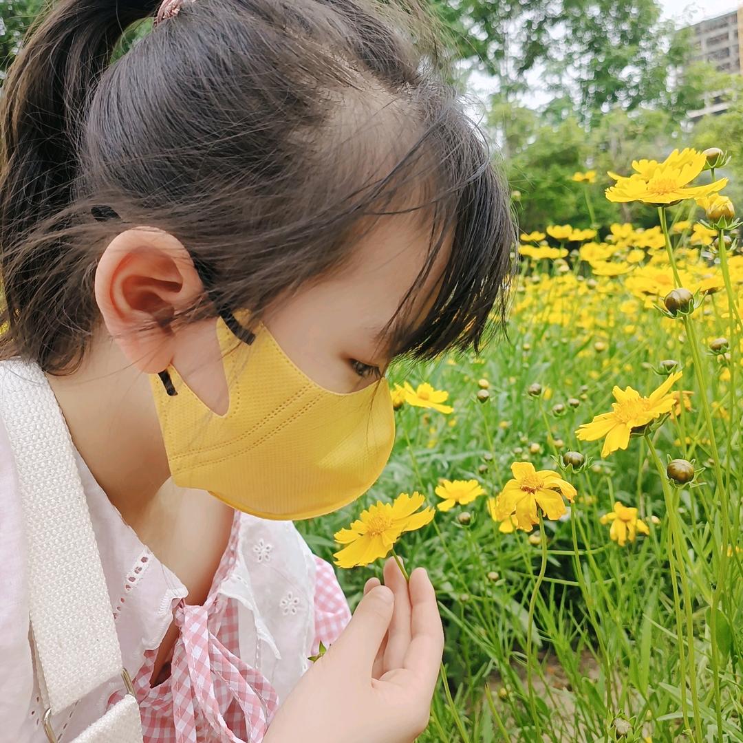 柠🍋🍋檬