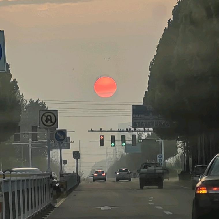 誡焔誡氿鳪誡伱_ 5