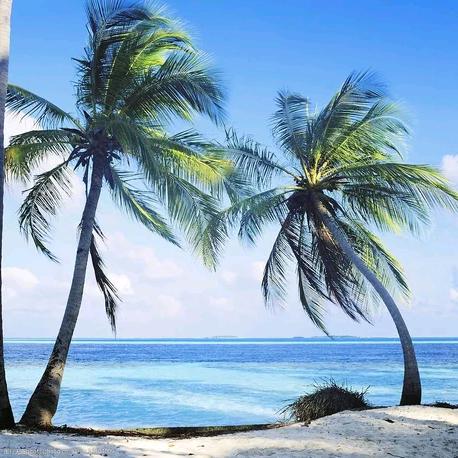 观海听风angaiing