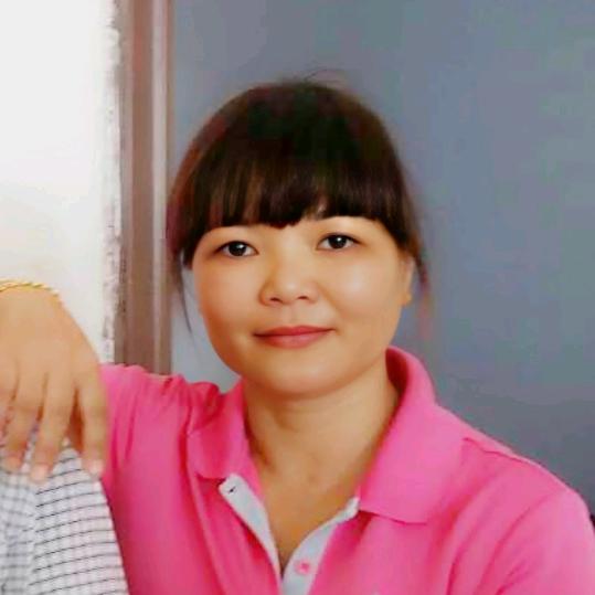 远飞的燕子