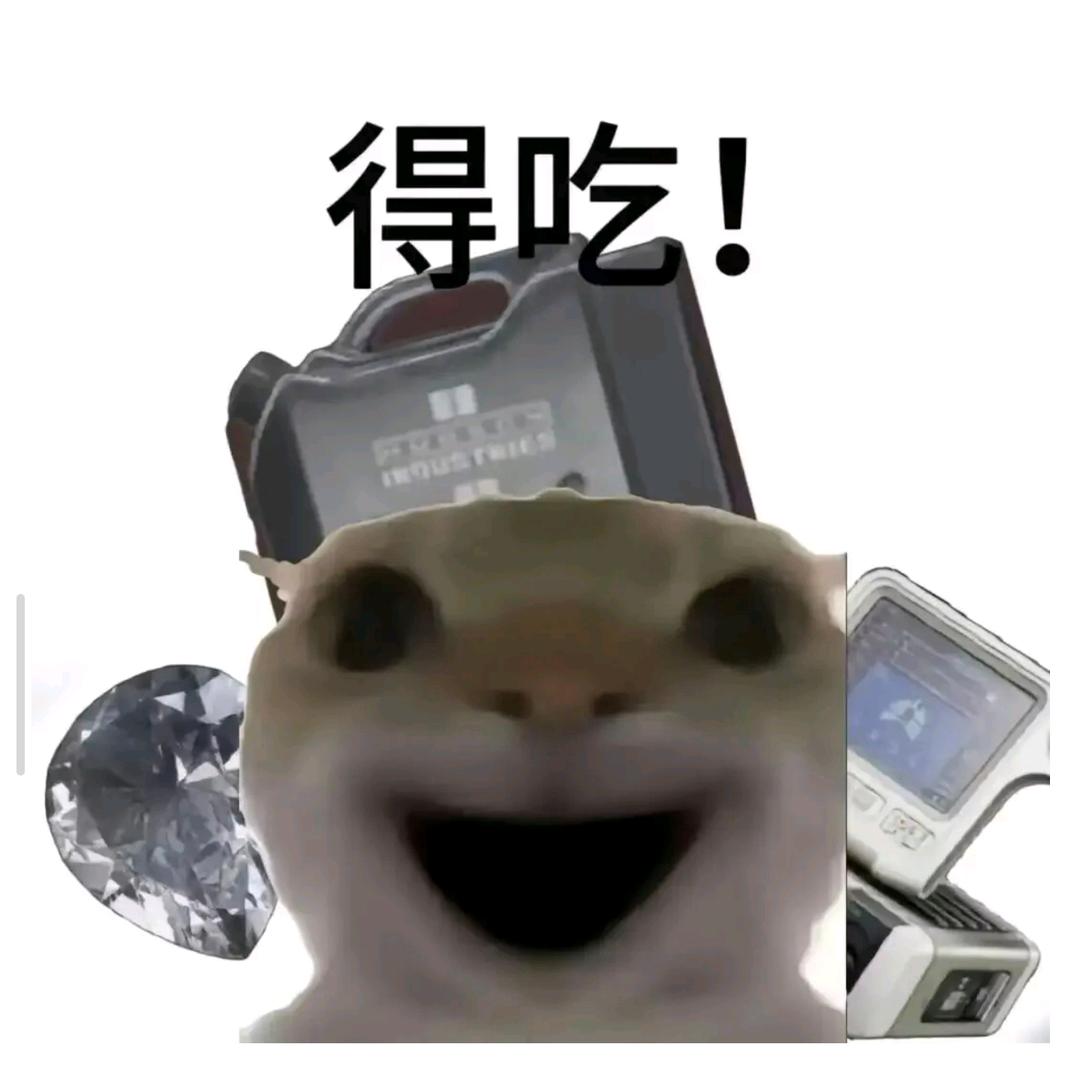 赚点零花钱的鼠鼠