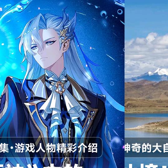 董就别再问