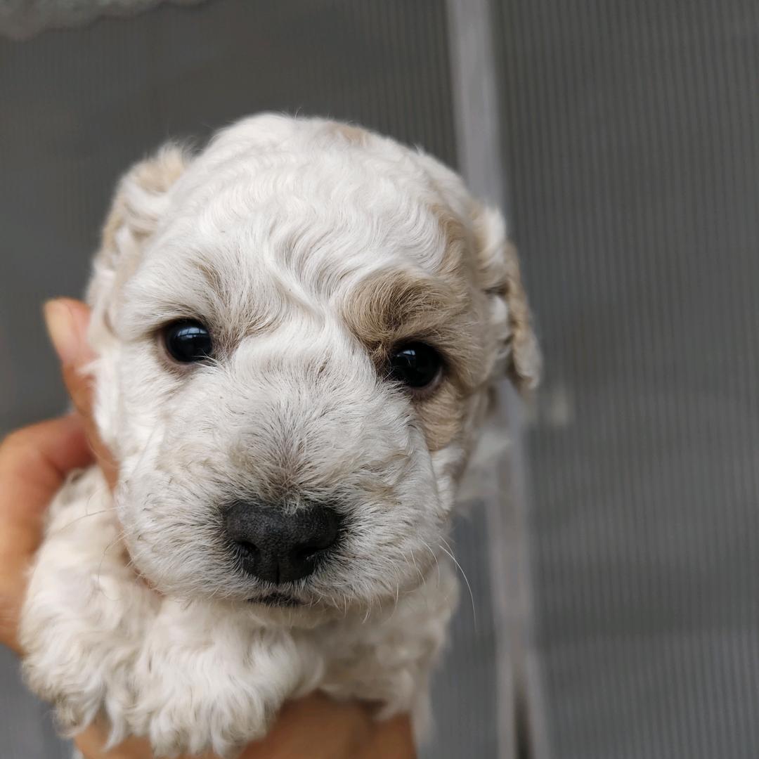 一路向前⭐⭐⭐⭐⭐