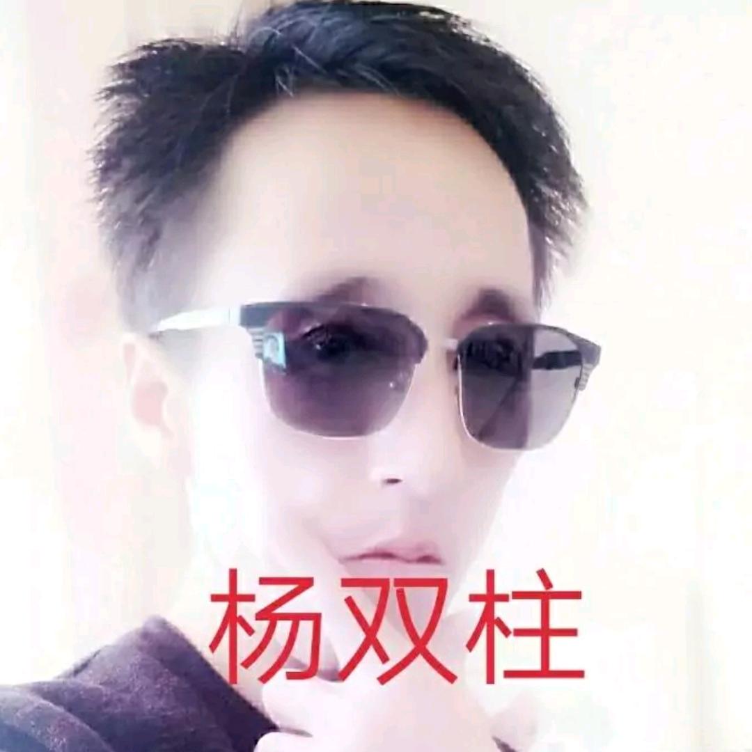 杨双柱