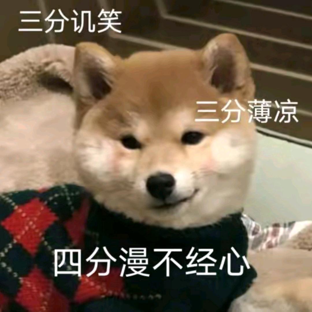 斯了个大文
