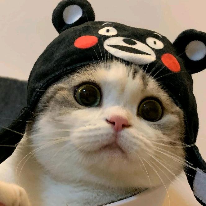 仟佰宠