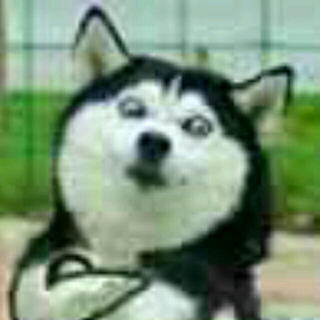 吃嗷超
