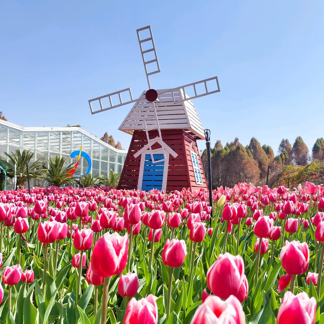 好运💕连连🍀