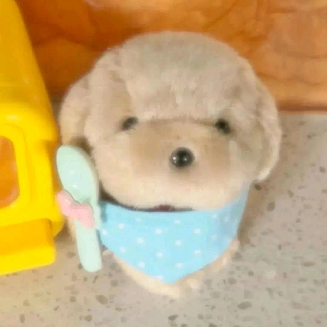 刚刚