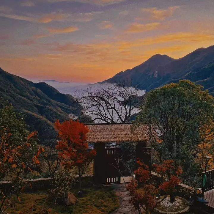 隐川居·安吉峡谷view温泉泳池度假酒店