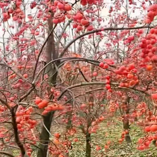 养生有门道