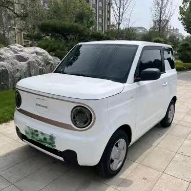 小熊猫钱多多