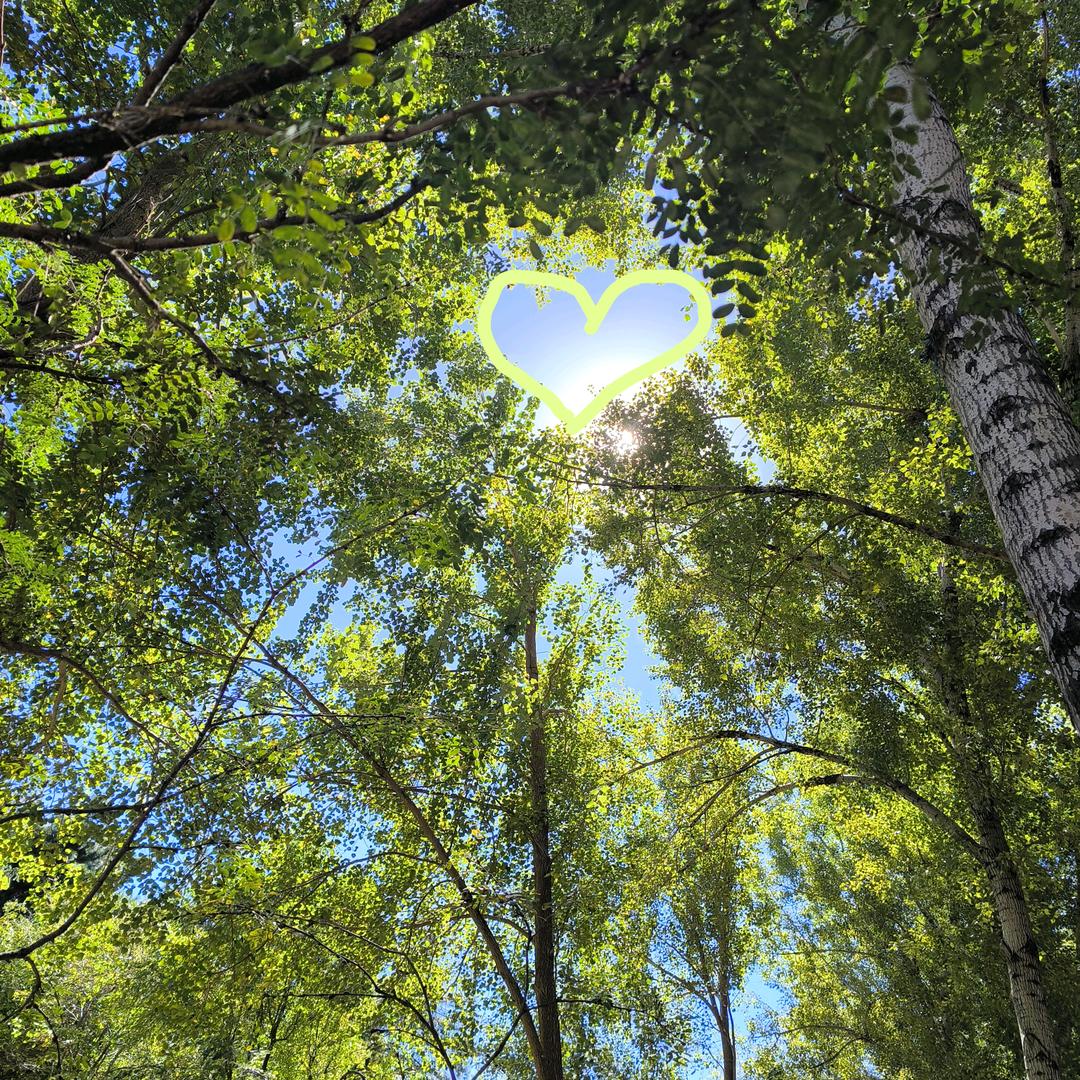 °ʚ鱼丸香菜鸭ɞ°