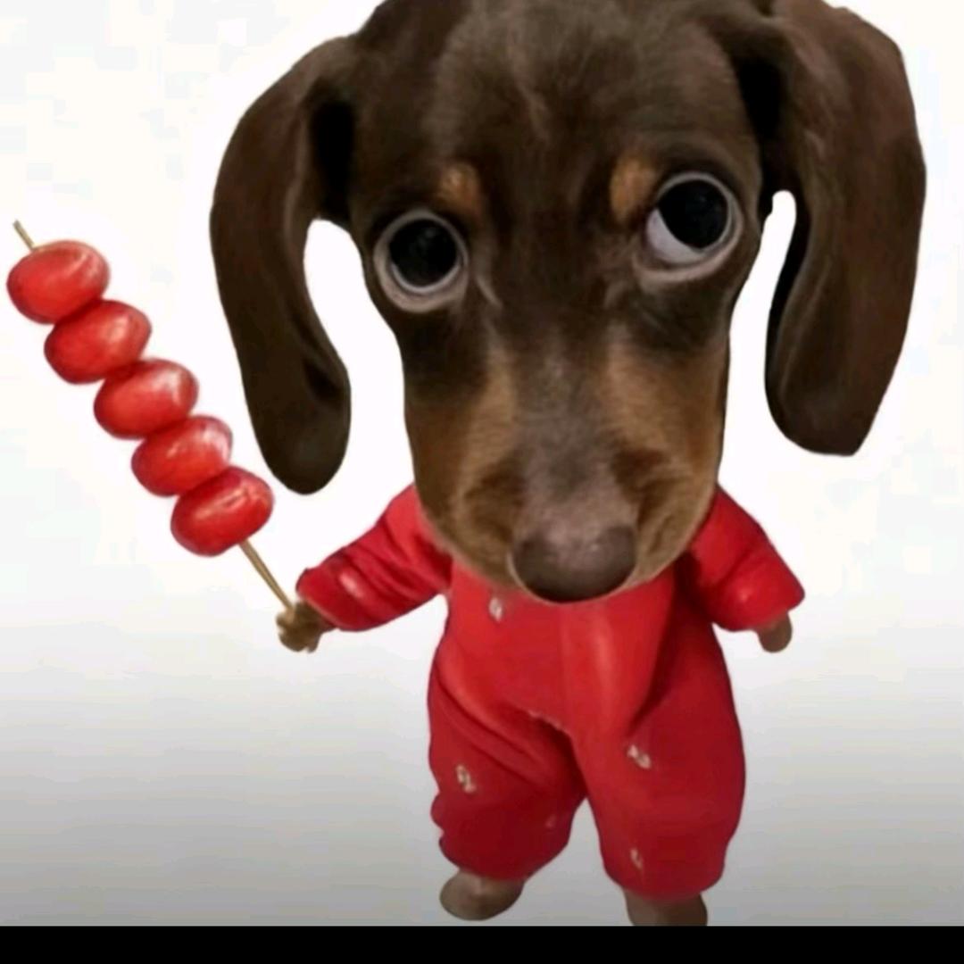 ༺我喜欢你ℒᎭℯ像风走了八千里