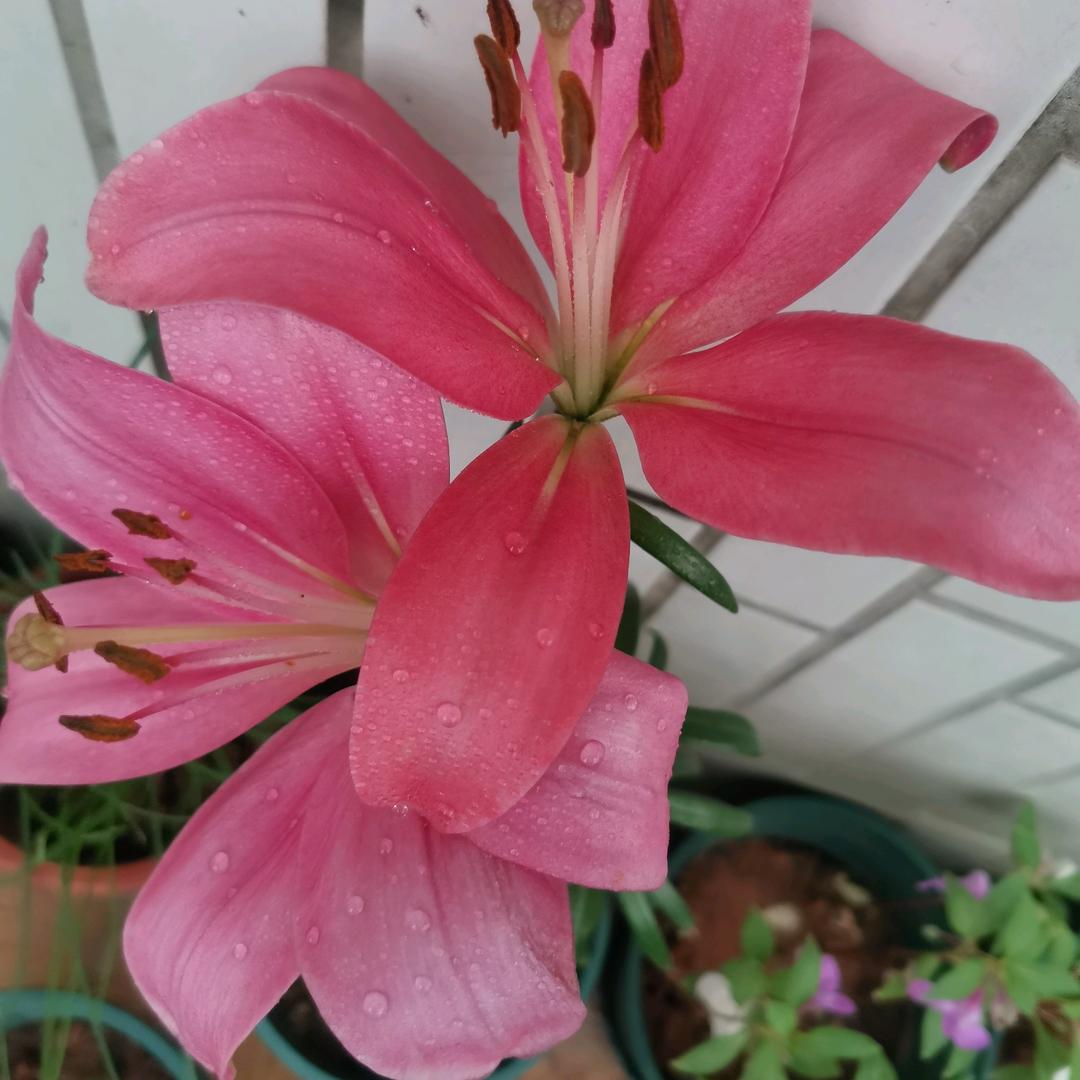 💞岁月静好💞