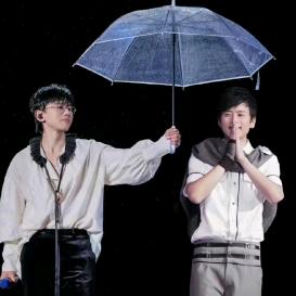 张杰粉丝💙国宝