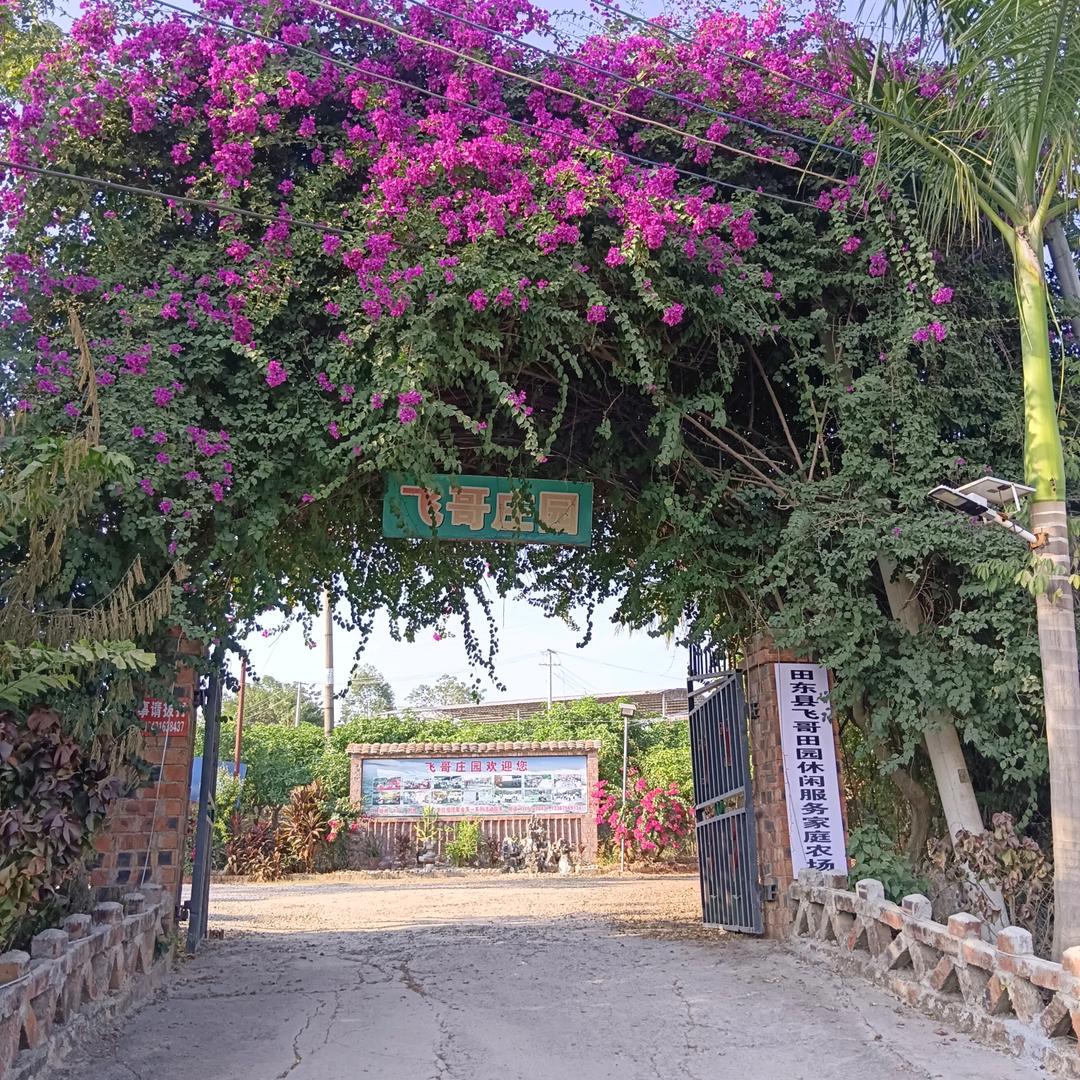 飞哥庄园