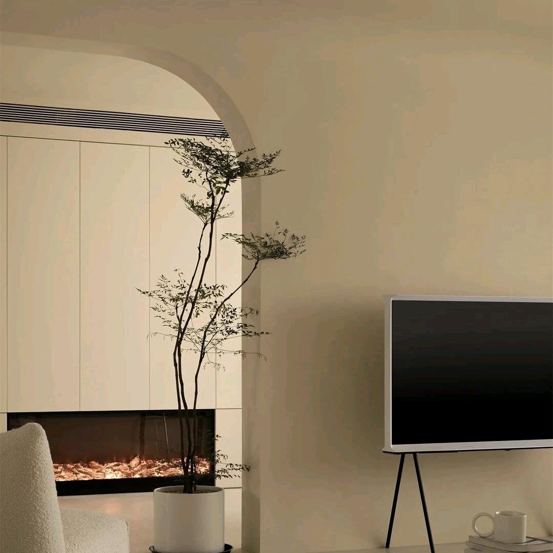 双虎整装-鄂尔多斯捡漏王