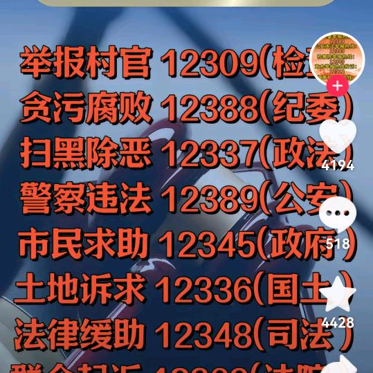 你真我更真