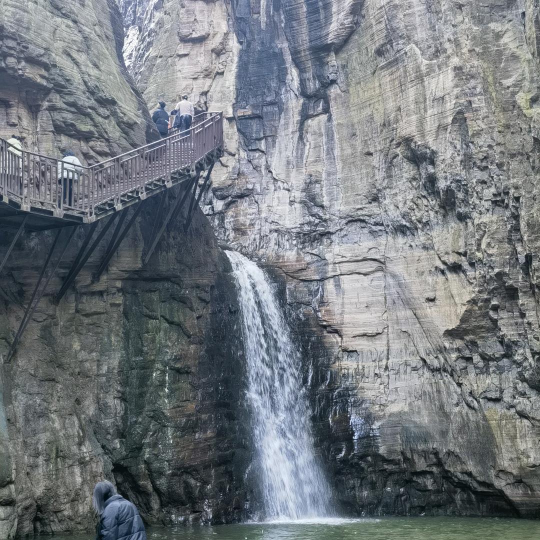 阿飞传媒创始人