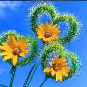 顺🌹其🌹自🌹然