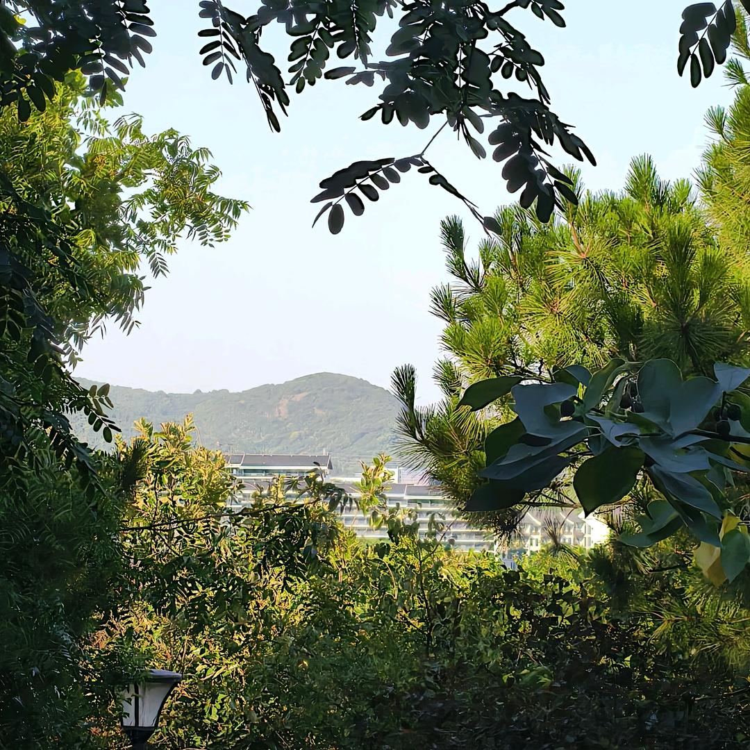 小蔡