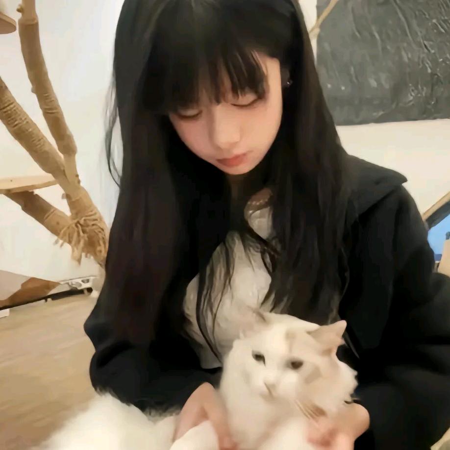 丽.非☁️🐑