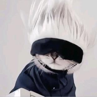 影中人