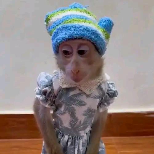 无为一生⁸²⁸🐒