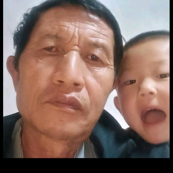 网络有缘