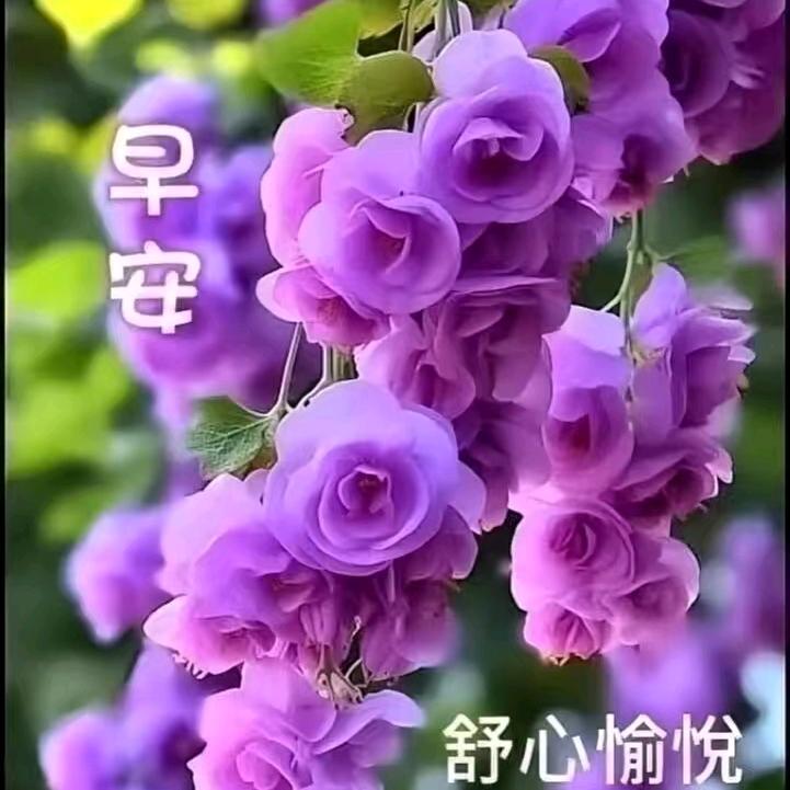 🇨🇳厚德载物🇨🇳