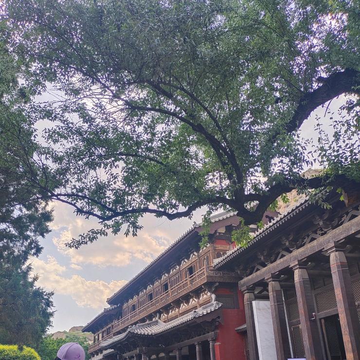 叨逼小吏