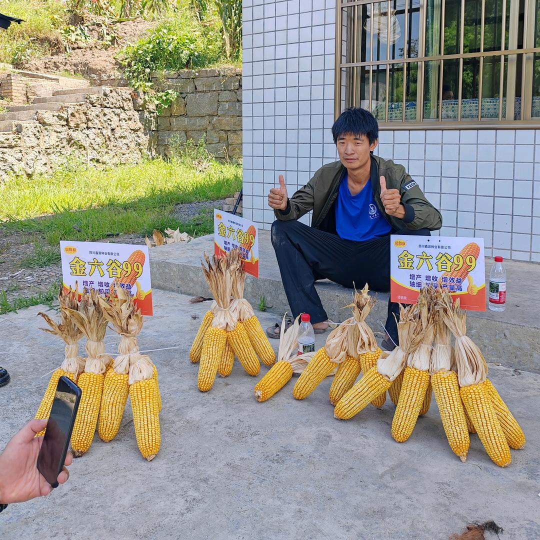 龙凤猫粮，狗粮，猫砂