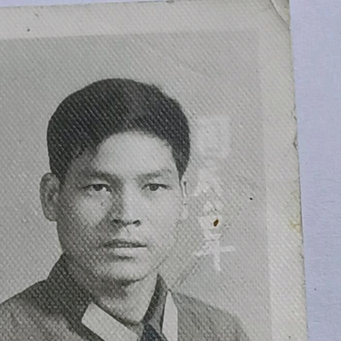 老虎胖胖